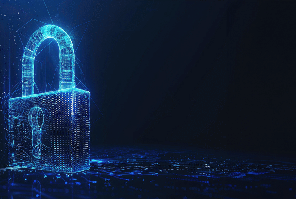 Fort Lauderdale Network Management Services
